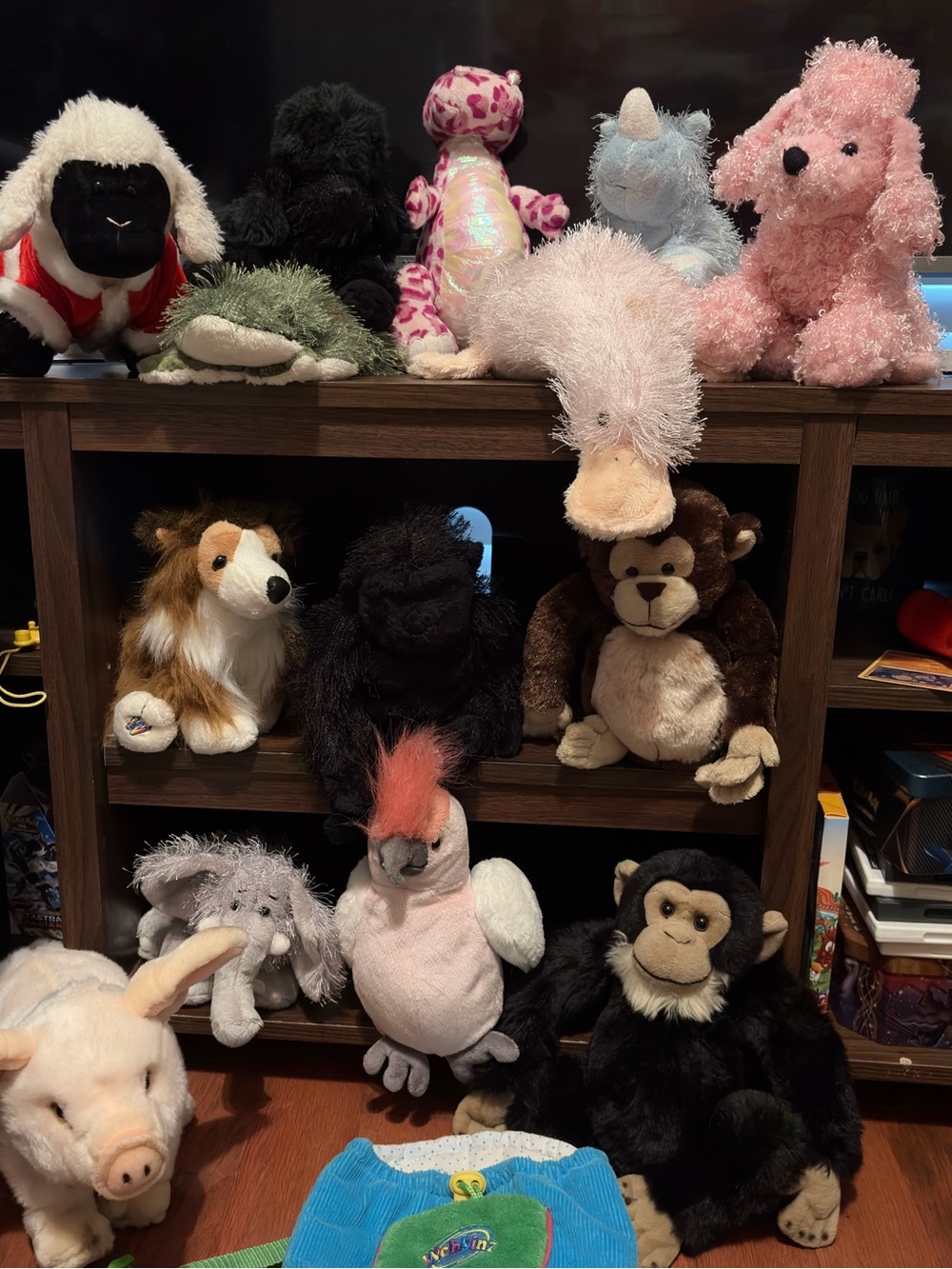 Webkinz Bundle of 12 Regular and 2 Signature 
+1 outfit and backpack
NO TAGS